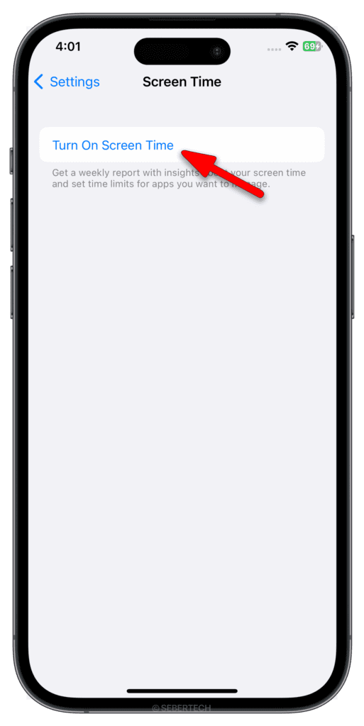 Tap Turn On Screen Time.