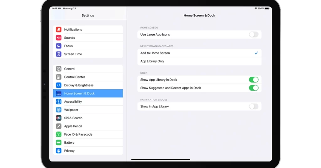 iPad Dock Settings