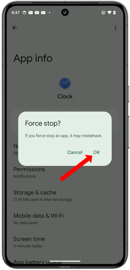 Tap "OK" in the confirmation pop-up to force stop the app.